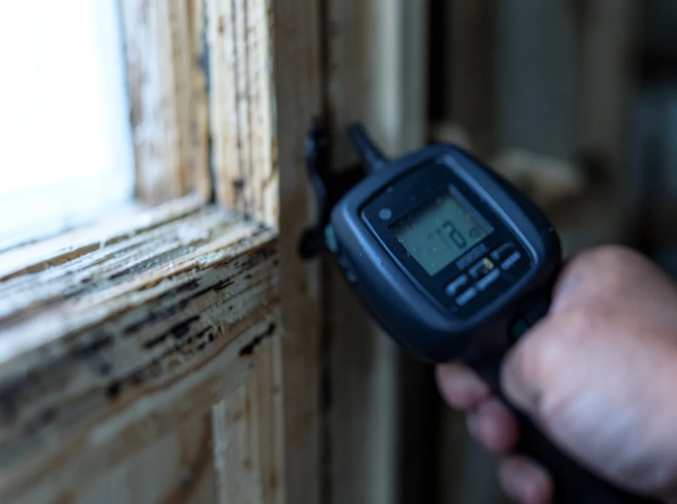 Moisture Inspection And Documentation in Douglas City, CA